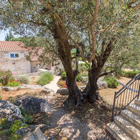 Olive Garden Apartment ストン エクステリア 写真